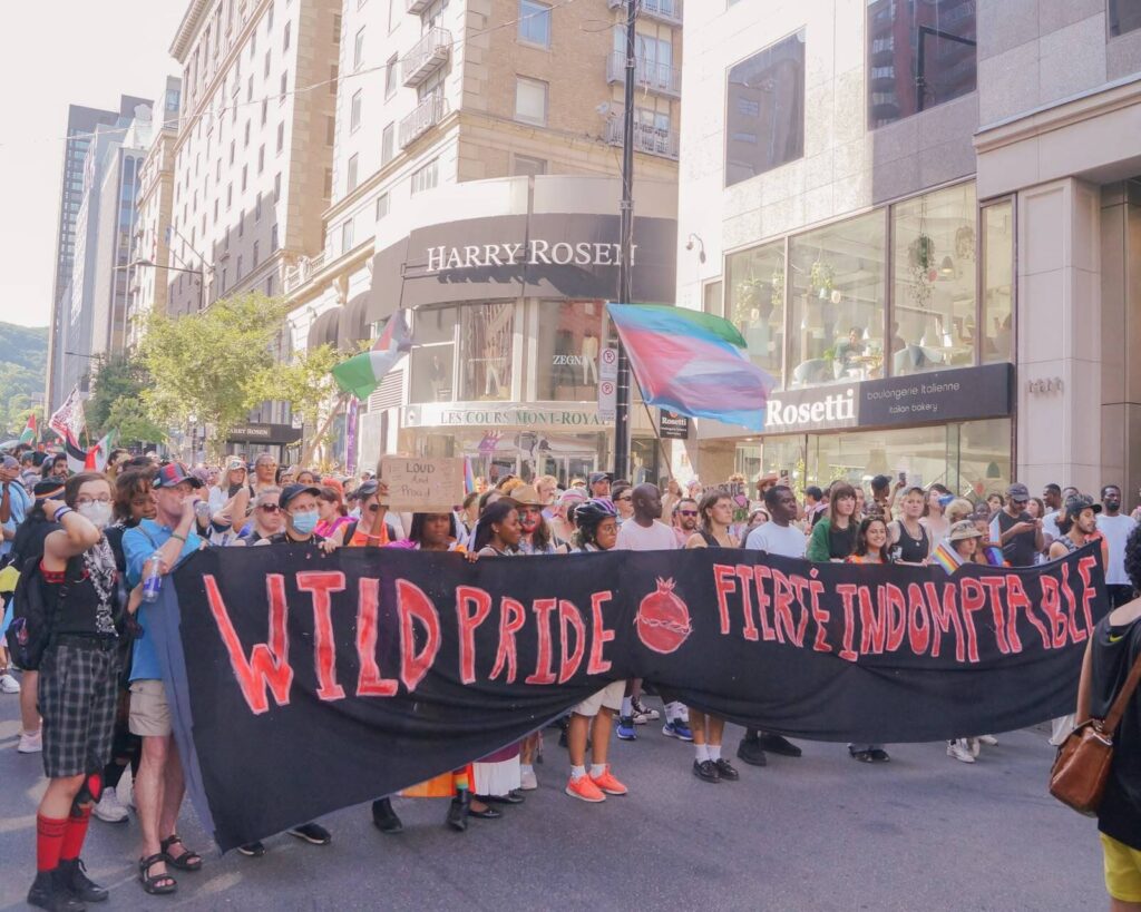 A picture of the 2025 Wild Pride march. A large group of people hold a cloth banner that says "Wild Pride/Fierté Indomptable". Trans flags and Palestinian flags are being flown by those in the crowd.